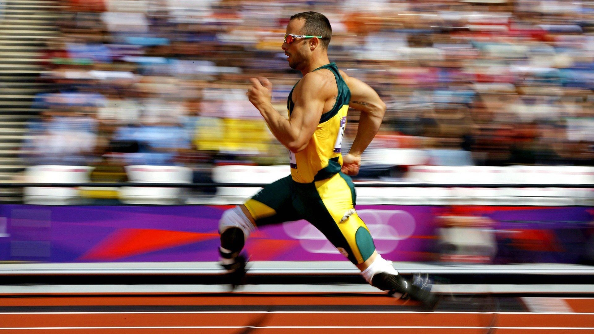 国际健身与健美世锦赛 经典健体项目人气超越传统健美组